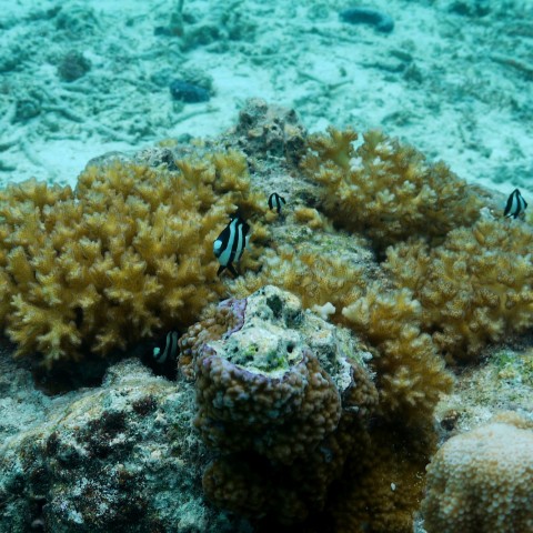 P1050913