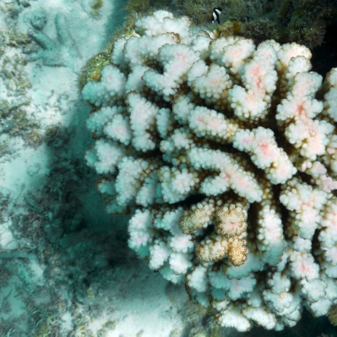 P1060049