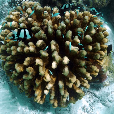 P1060008