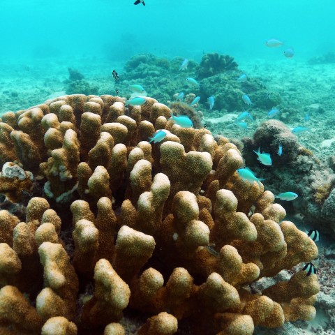 P1050919