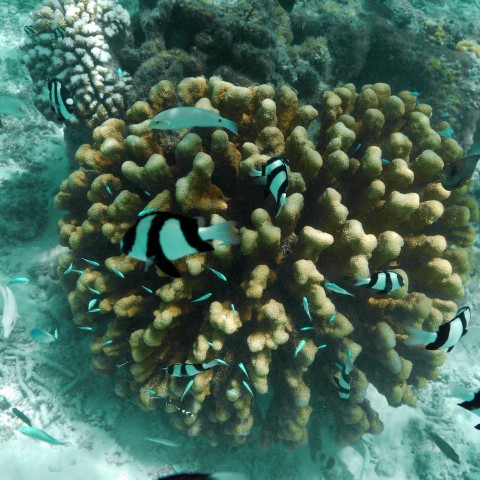 P1060063