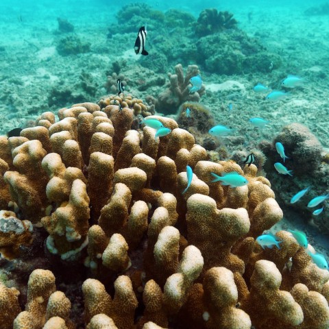 P1050920