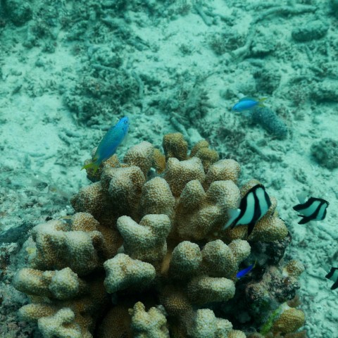 P1050905