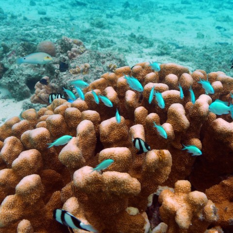 P1050914
