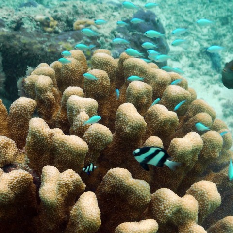P1060023