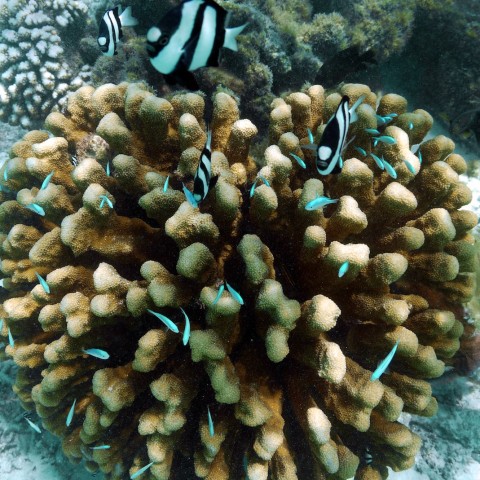 P1060009