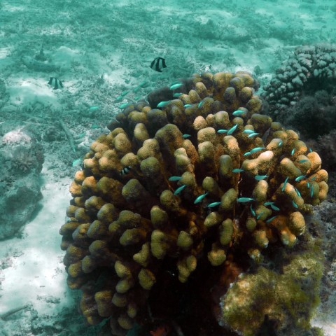 P1060007