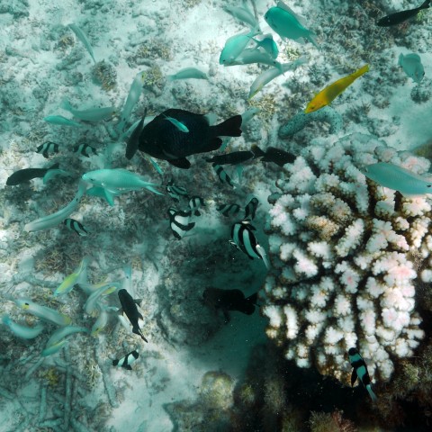 P1060052