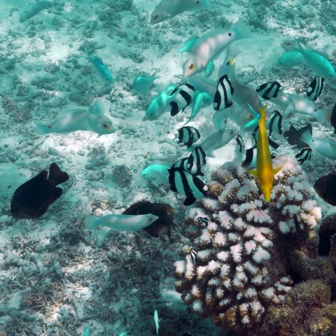 P1060051