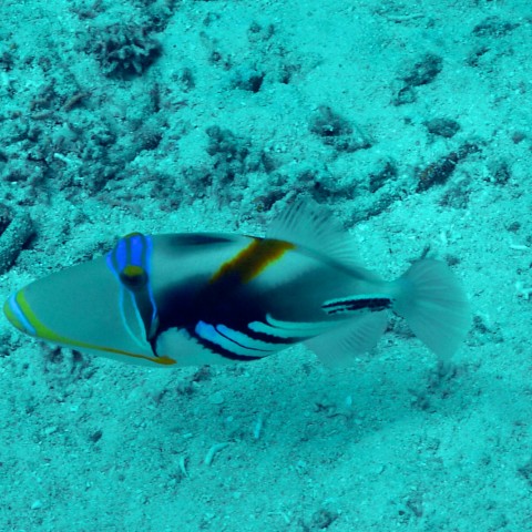 P1050926