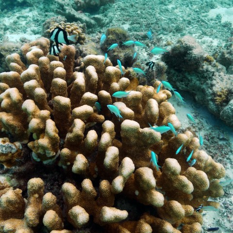 P1050921